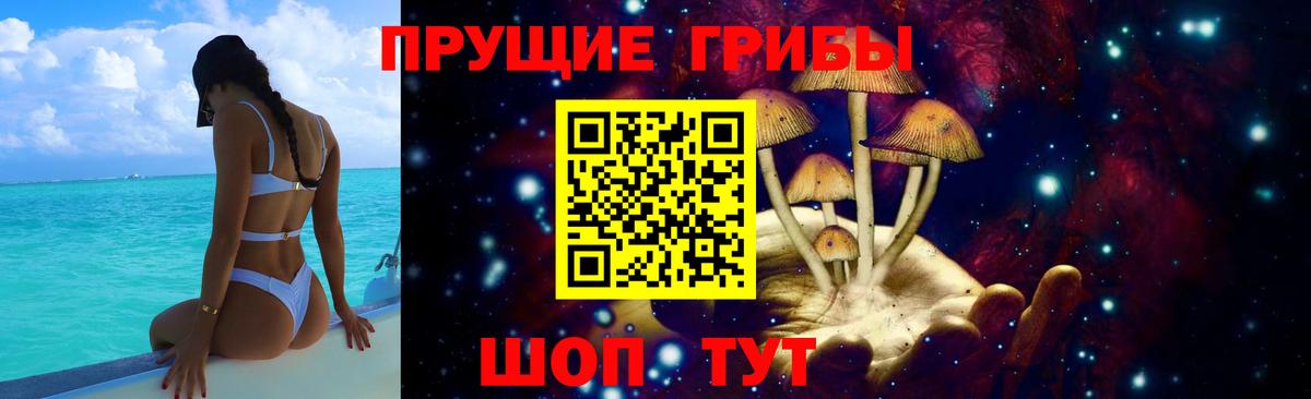Галлюциногенные грибы Cubensis Старая Русса