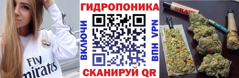 закладки  Старая Русса  Каннабис Ganja 